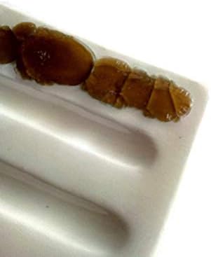 Handmade White Bar Soap Dish