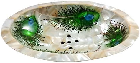 Elegant Seashell Soap Holder