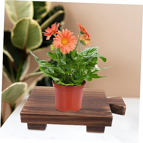 WoodenSOAP Tray Rack for Kitchen Bathroom