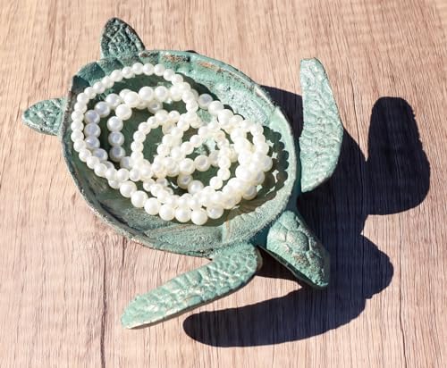 Stunning Cast Iron Sea Turtle Dish