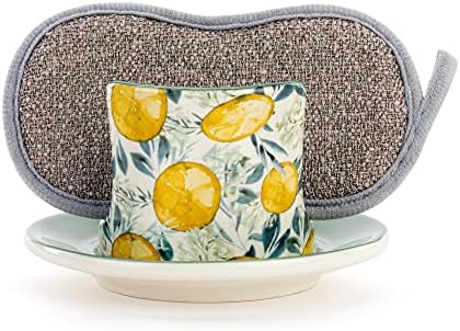 Perfect Lemon Pattern Partnered with Sponge Dish for Clean Living