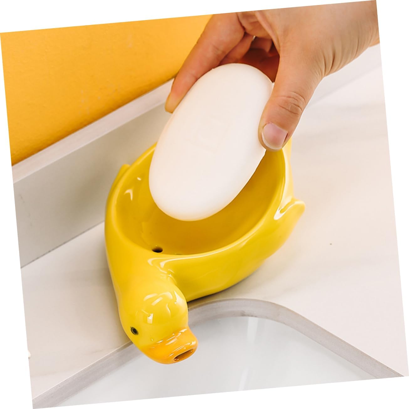 Duck theme soap dish