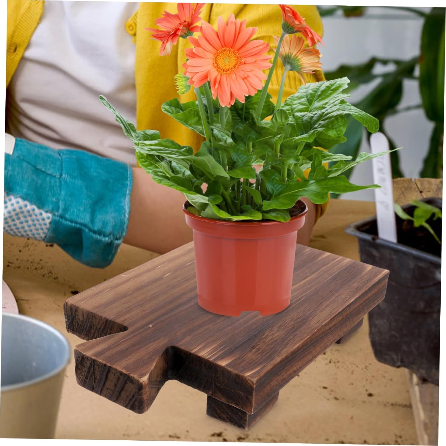WoodenSOAP Tray Rack for Kitchen Bathroom