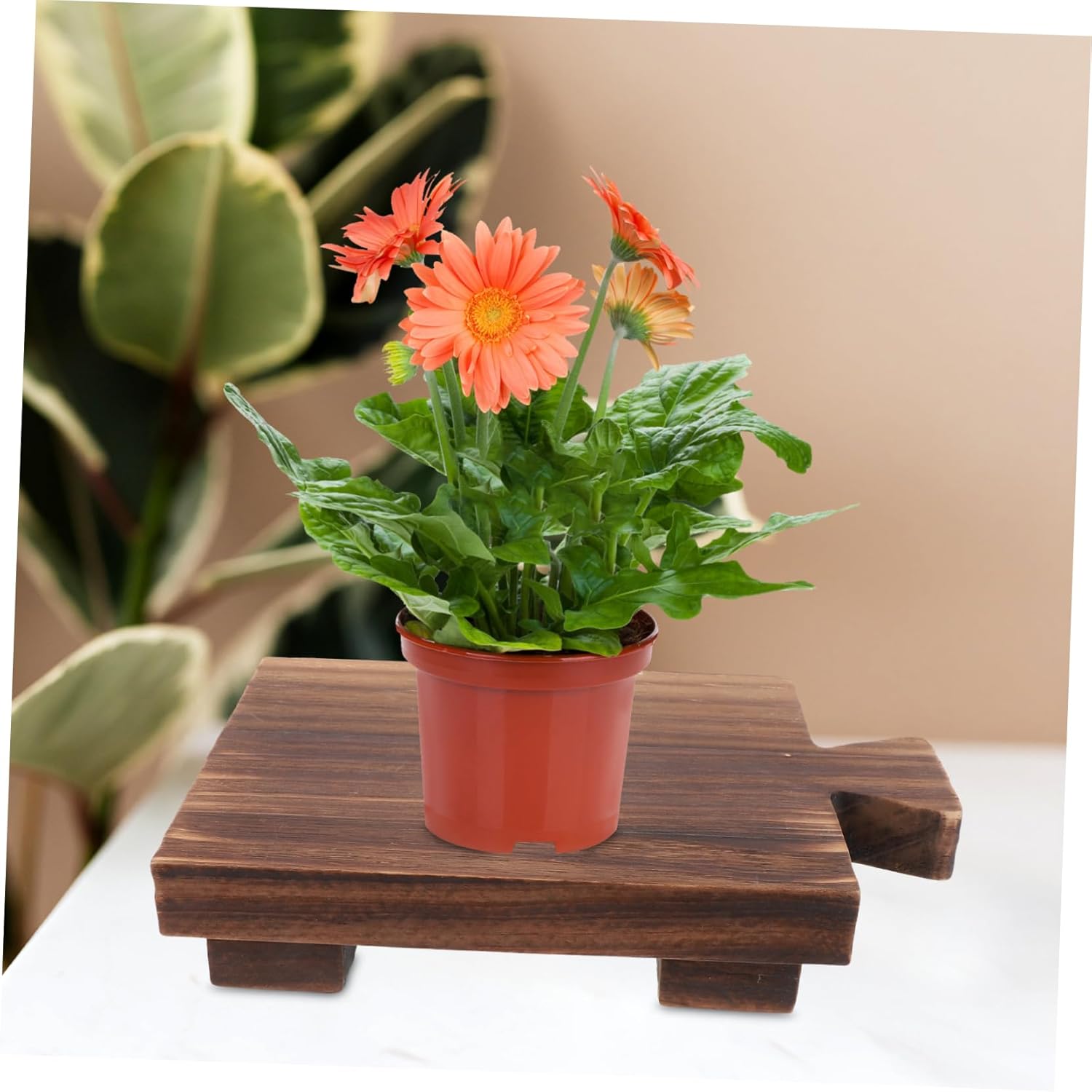 WoodenSOAP Tray Rack for Kitchen Bathroom