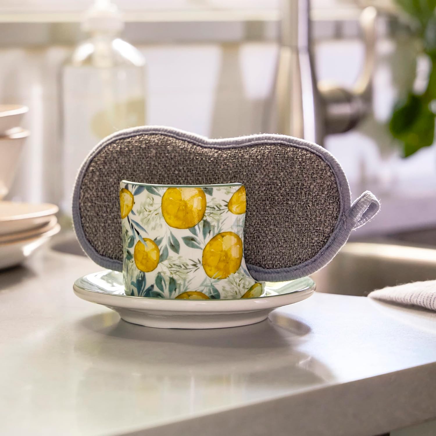 Perfect Lemon Pattern Partnered with Sponge Dish for Clean Living
